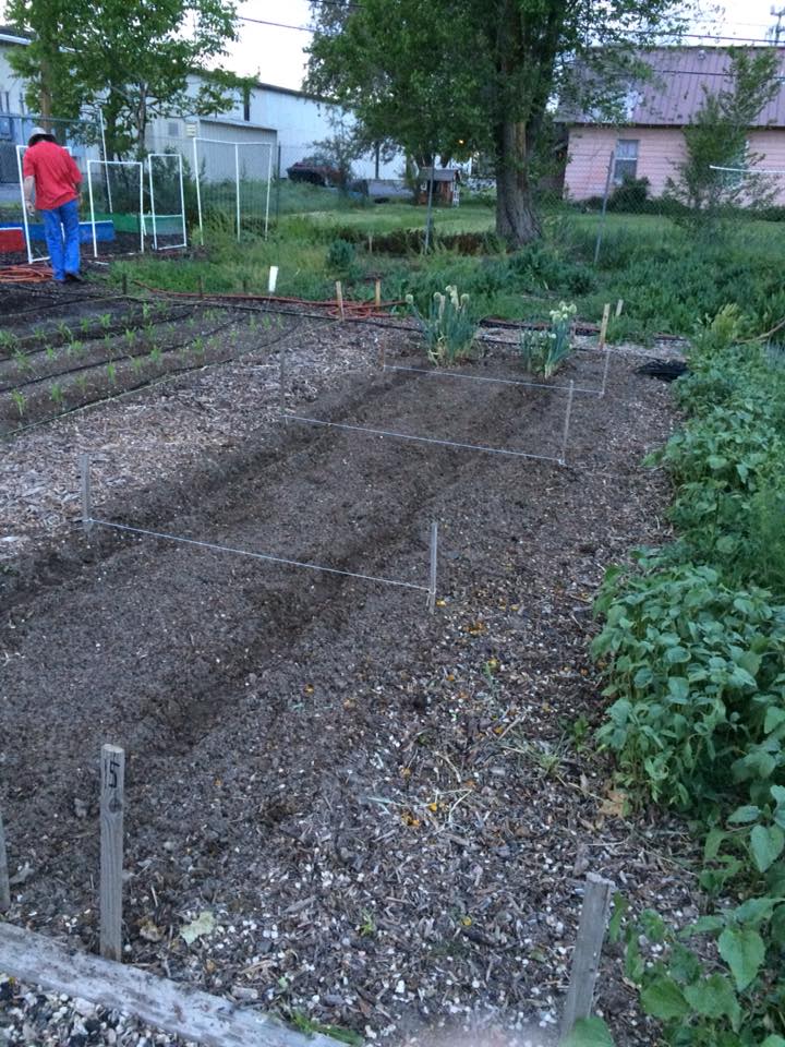 33923045_232141267550595_1343299142637584384_n