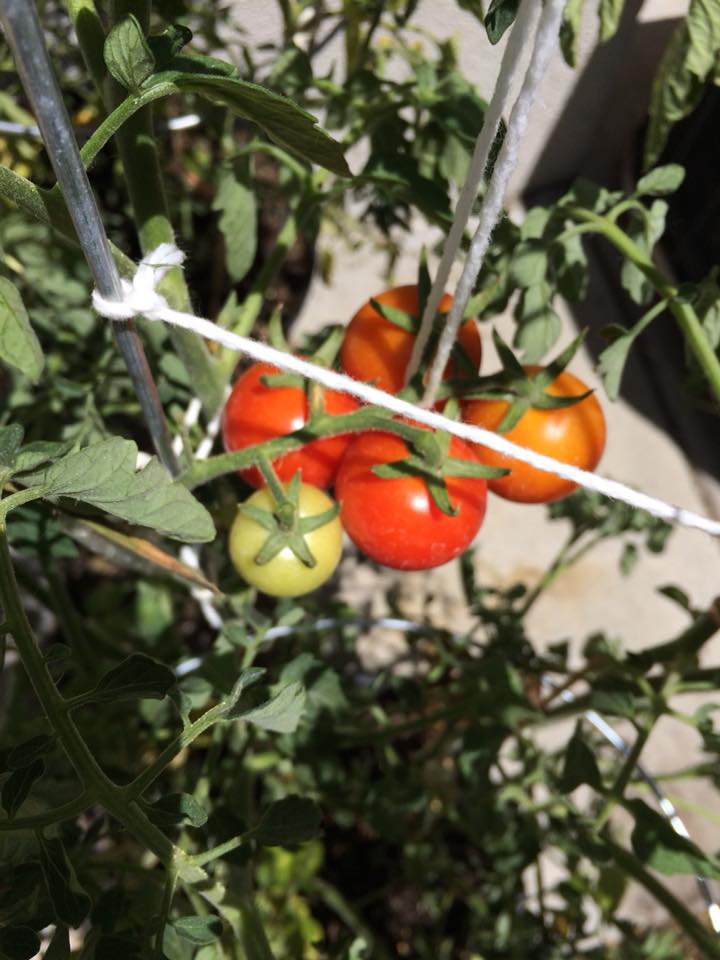 35348606_241843139913741_8887844437162459136_n