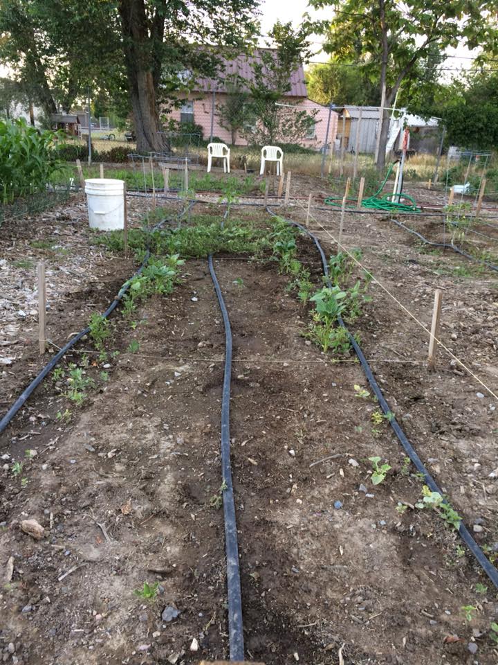 35436023_243477979750257_1000422965570961408_n