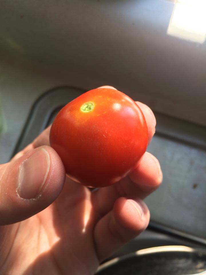 35489403_241843133247075_5282983346593333248_n