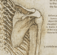 Screen Shot 2018-11-09 at 4.35.30 PM