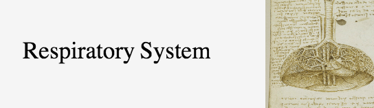 Screen Shot 2019-02-03 at 2