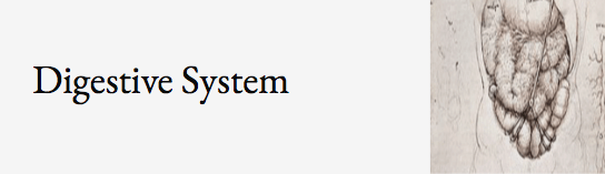 Screen Shot 2019-02-03 at 8